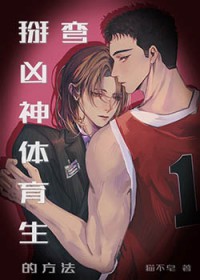 夏宝传Ⅲ