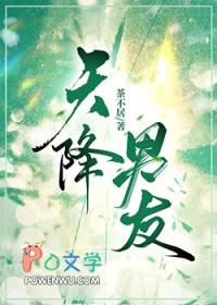 少帅临门
