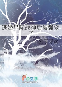 酸李子