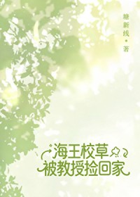 向导点广告续命