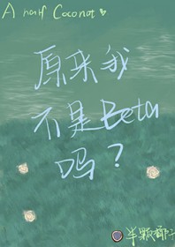 太漂亮的npc会被超市的【伪无限】