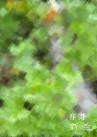 《品夜外传：裂骨笛》