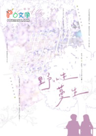 《品夜：暮色将至》