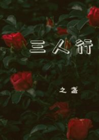 普通向导，但被天龙人们求爱