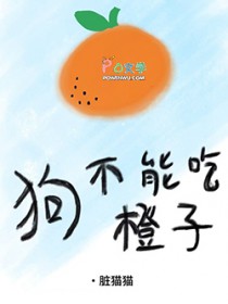 和离第一年